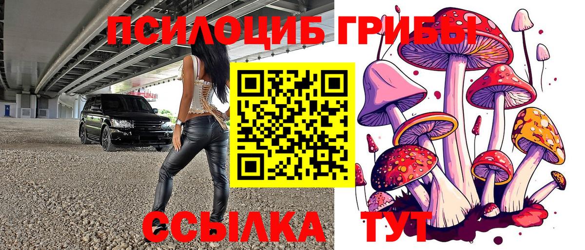 Реж  Псилоцибиновые грибы Magic Shrooms  Вход с VPN 